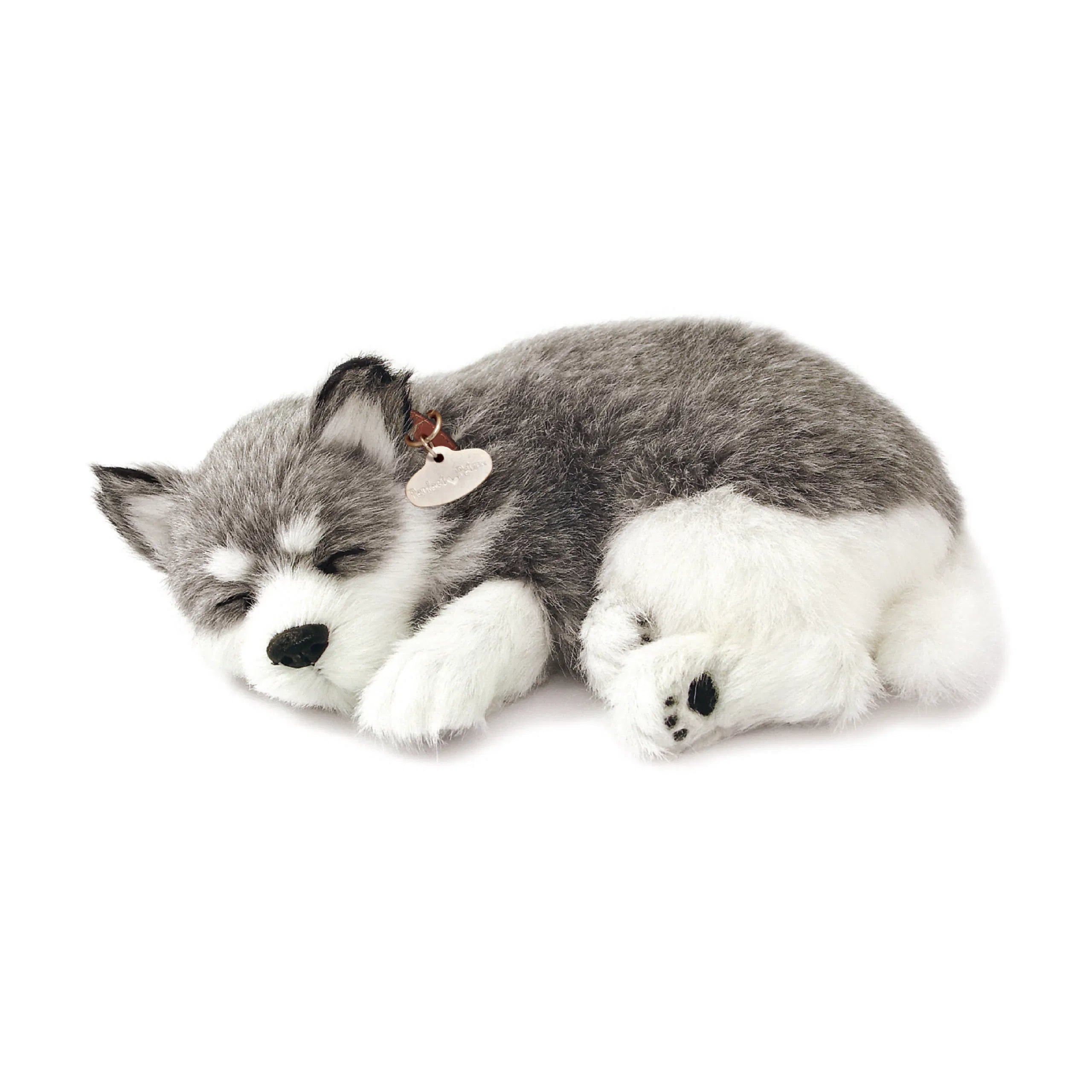 Alaskan Husky Perfect Petzzz - Lots of plush dogs and more here toys – Toy  Island Online